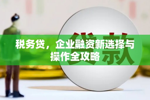 清远税务贷，企业融资新选择与操作全攻略