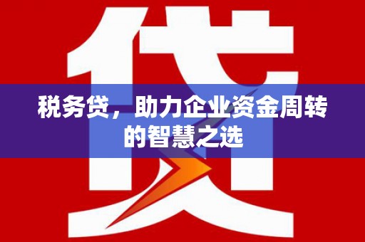 清远税务贷，助力企业资金周转的智慧之选