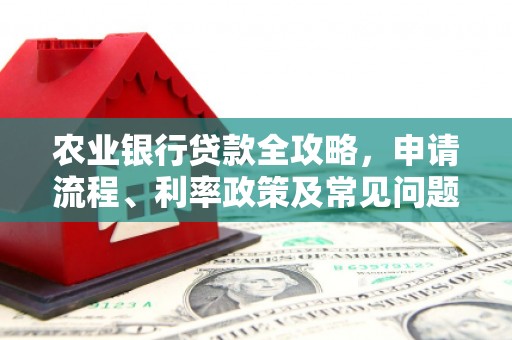 清远农业银行贷款全攻略，申请流程、利率政策及常见问题解析