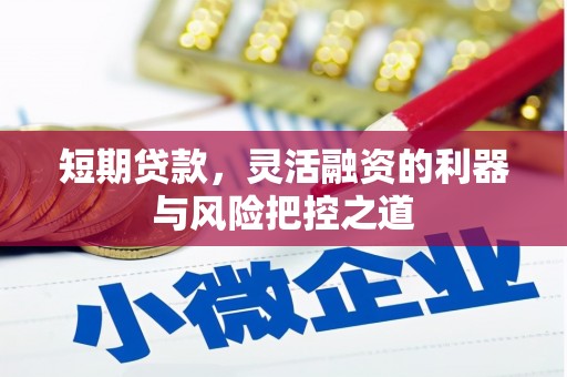 清远短期贷款，灵活融资的利器与风险把控之道
