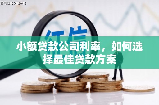 清远小额贷款公司利率，如何选择最佳贷款方案