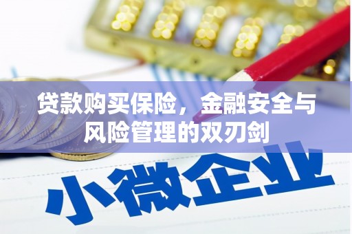 清远贷款购买保险，金融安全与风险管理的双刃剑