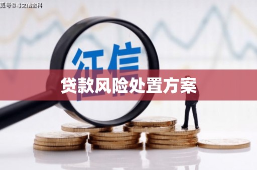 清远贷款风险处置方案