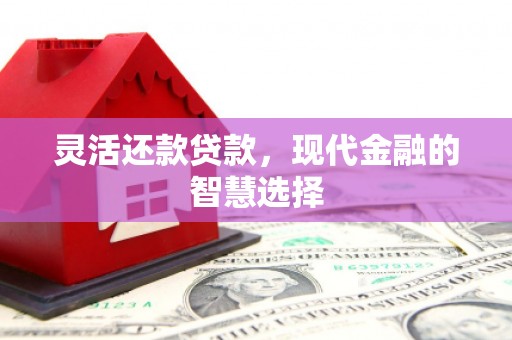 清远灵活还款贷款，现代金融的智慧选择