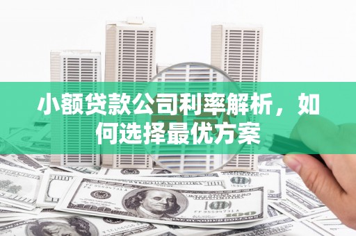 清远小额贷款公司利率解析，如何选择最优方案