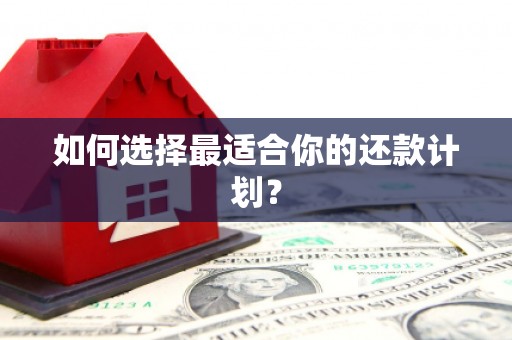 清远如何选择最适合你的还款计划？