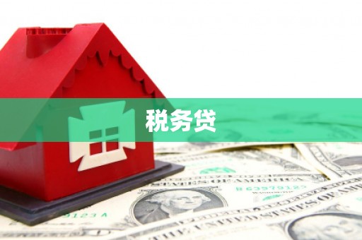清远税务贷