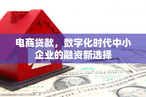 清远电商贷款，数字化时代中小企业的融资新选择