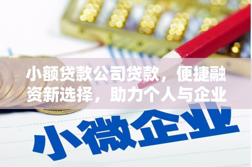 清远小额贷款公司贷款，便捷融资新选择，助力个人与企业成长