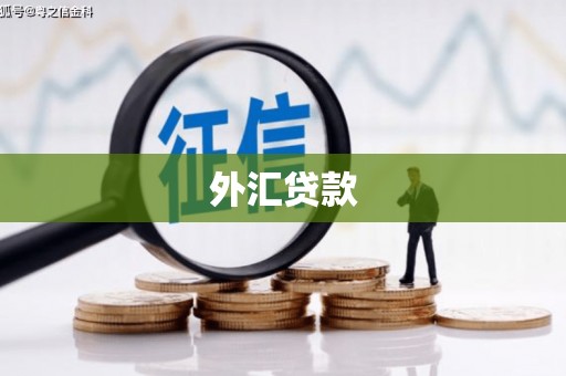 清远外汇贷款