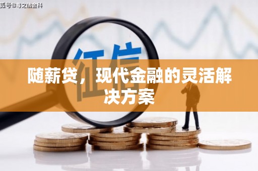 清远随薪贷，现代金融的灵活解决方案