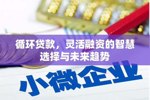 清远循环贷款，灵活融资的智慧选择与未来趋势