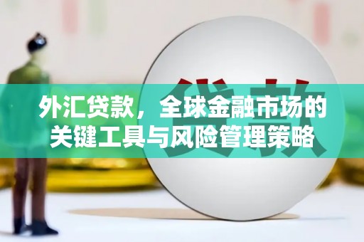 清远外汇贷款，全球金融市场的关键工具与风险管理策略