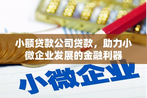 清远小额贷款公司贷款，助力小微企业发展的金融利器