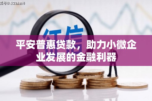清远平安普惠贷款，助力小微企业发展的金融利器
