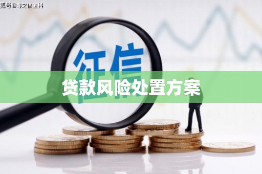 清远贷款风险处置方案
