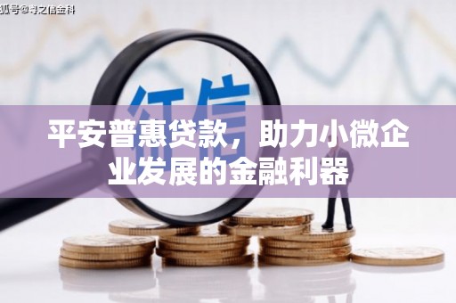 清远平安普惠贷款，助力小微企业发展的金融利器