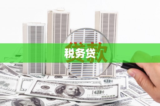 清远税务贷