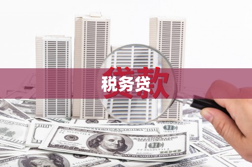 清远税务贷