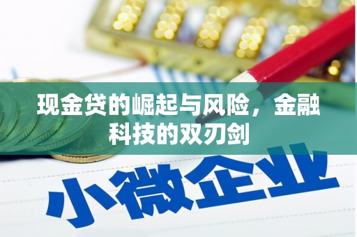 清远现金贷的崛起与风险，金融科技的双刃剑