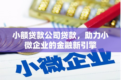 清远小额贷款公司贷款，助力小微企业的金融新引擎