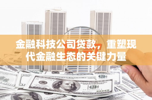 清远金融科技公司贷款，重塑现代金融生态的关键力量