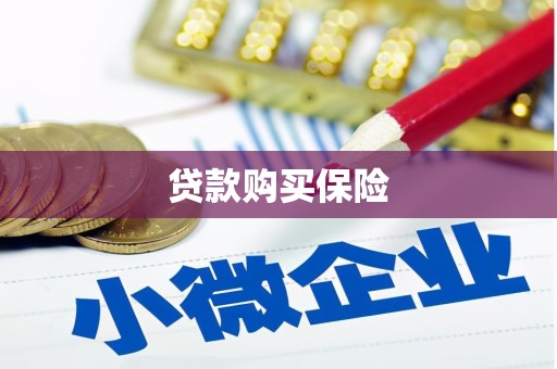 清远贷款购买保险
