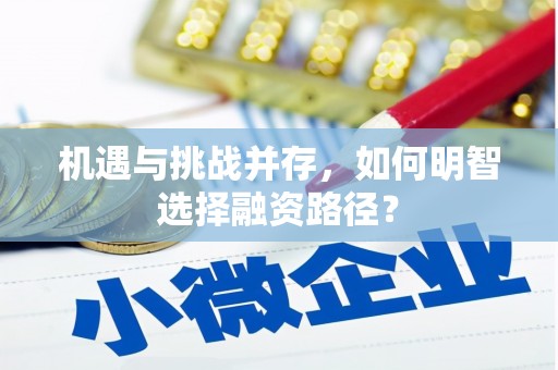 清远机遇与挑战并存，如何明智选择融资路径？