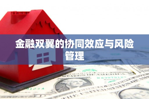 清远金融双翼的协同效应与风险管理