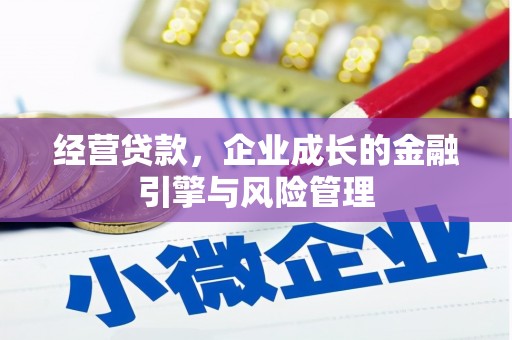 清远经营贷款，企业成长的金融引擎与风险管理