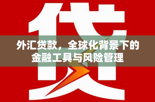 清远外汇贷款，全球化背景下的金融工具与风险管理
