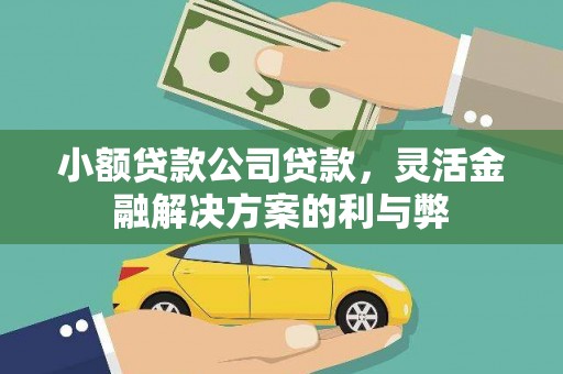 清远小额贷款公司贷款，灵活金融解决方案的利与弊
